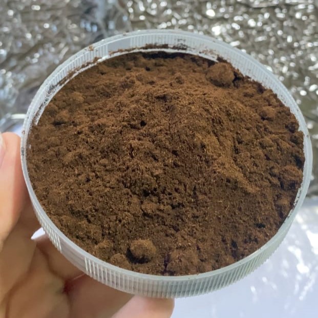 Premium Vanilla Powder